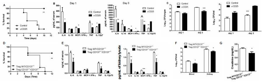 Treg cells are required for CD137L-mediated inflammatory responses