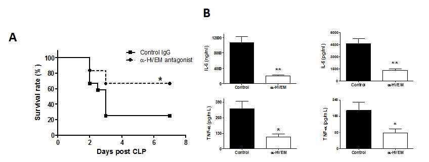 A, WT mice were injected with 100 ug of anti-HVEM antibody or control IgG. After 1 d, mice were subjected to CLP and survivals (A) and IL-6 and TN F-a in blood and peritoneal fluid were determined (B).