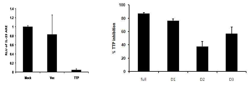 TTP에 의한, IL-17 mRNA의 3‘UTR 부분을 subcloning한 luciferase gene의 활성 조절