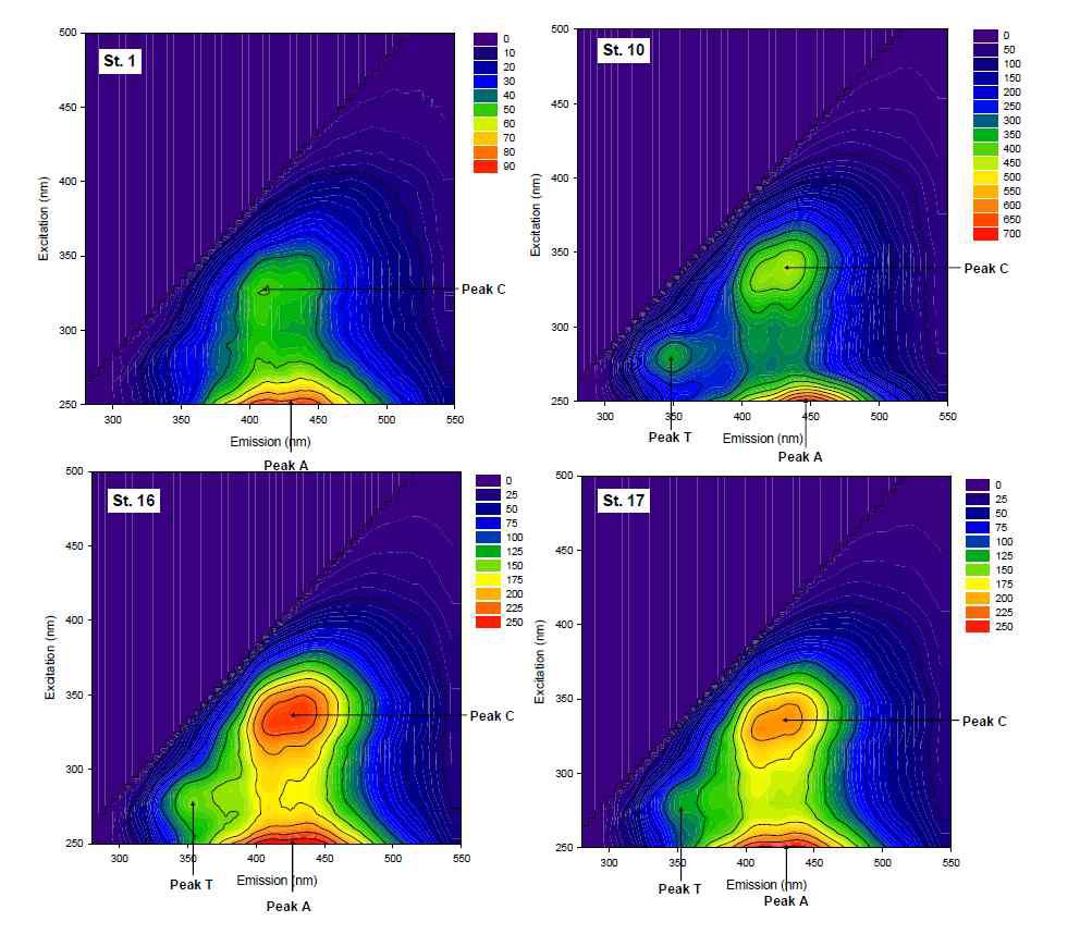 대표지점의 형광 EEM 스펙트럼