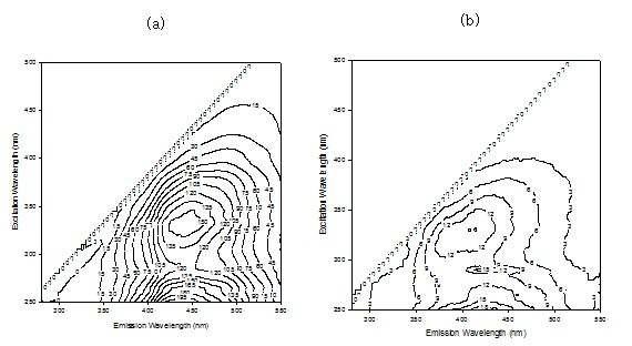 10.0 mg/L의 Swannee River NOM을 원수로 한 DAX-8 레진 유입수(a)와 유출수 (2.0 mg/L) (b)의 형광 EEM 스펙스럼