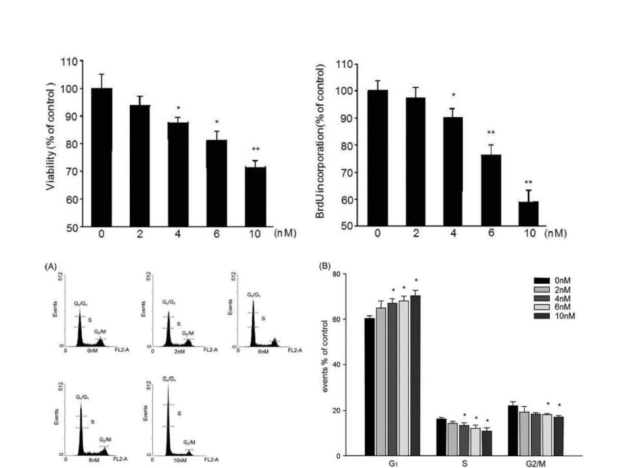 인간 유방암세포주 (MDA-MB-231 cells)에서세포주기셍 대한 rhBMP-2 의 효과. rhBMP-2를 고농도로 처리하였을 때 G1 phase에서 cell accumulation이 증가됨.