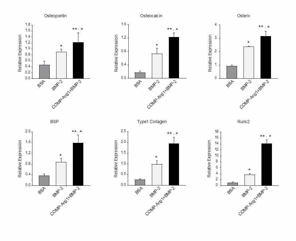 Real-time RT-PCR analyses of genes related to osteogenesis. Tissues were obtained from defect sites three weeks after inducing vascular necrosis. Real-time RT-PCR analyses for osteogenic genes were performed as described in the Materials and Methods. Each value is the mean ± SEM of six to nine samples. *p<0.05 vs. BSA; **p<0.01 vs. BSA; #p<0.01 vs. BMP-2.