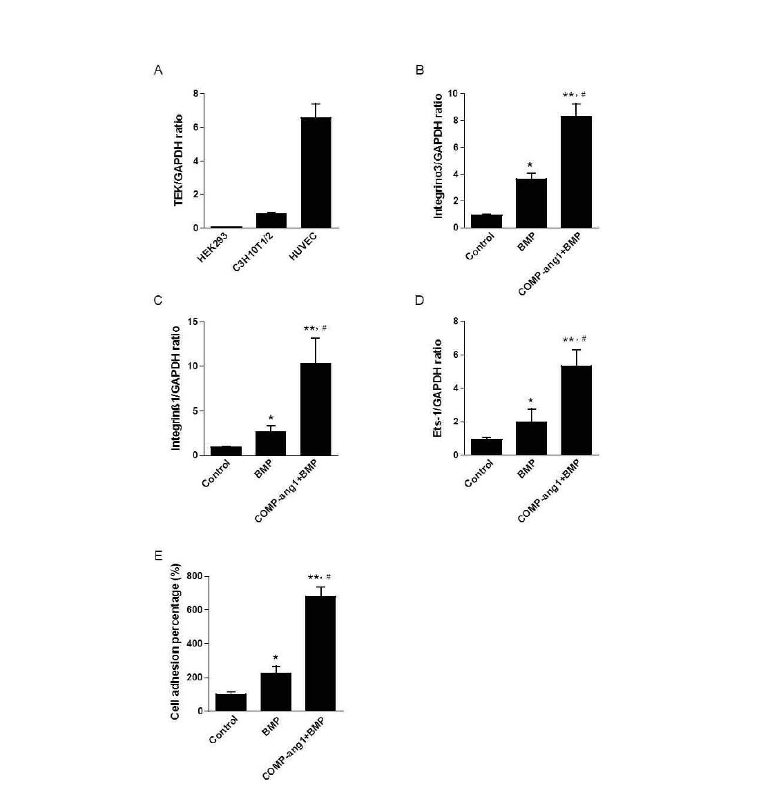 Expression of the Tie2 receptor and the effect of integrin on cell adhesion.