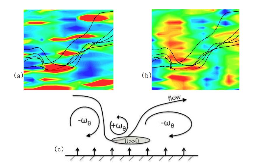 Magnified view of 3D streamlines over (a) axial velocity (b) pressure fluctuation (c) Cartoon of vortex pair and stremaline