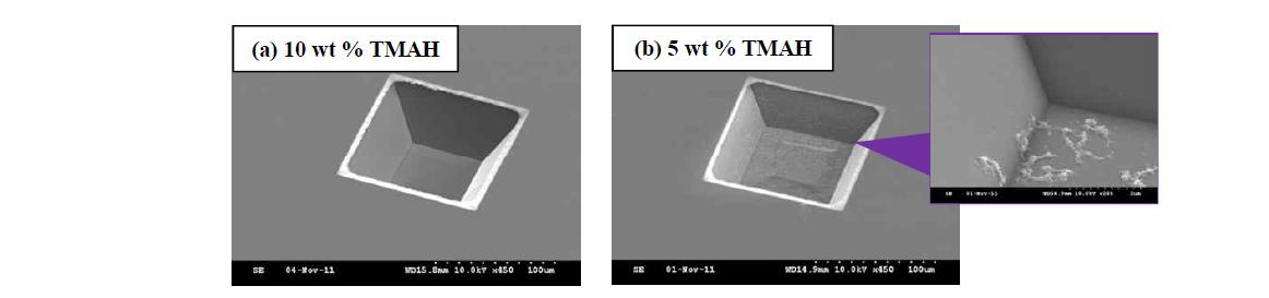 (a) 10 wt% 및 (b) 5 wt% TMAH 용액을 사용하여 에칭한 Si 패턴 표면의 SEM 사진
