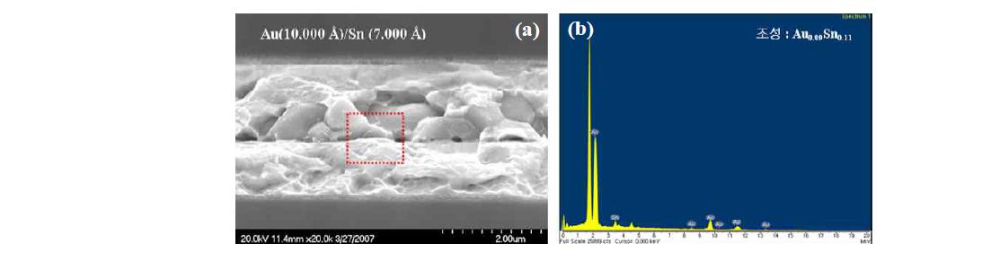 Au(1000 nm)/Sn(700 nm)을 이용한 bonding 계면의 (a) SEM 사진과 (b) EDX 결과