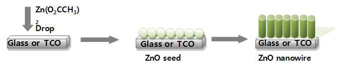 ZnO seed 로부터 나노선의 성장 모식도.