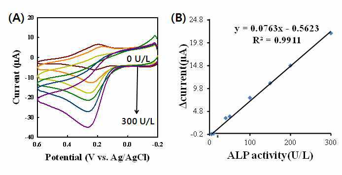 제작한 수정전극에 ALP를 적과함에 따른 (A) 순환 전압전류도와 (B)검량 곡선.