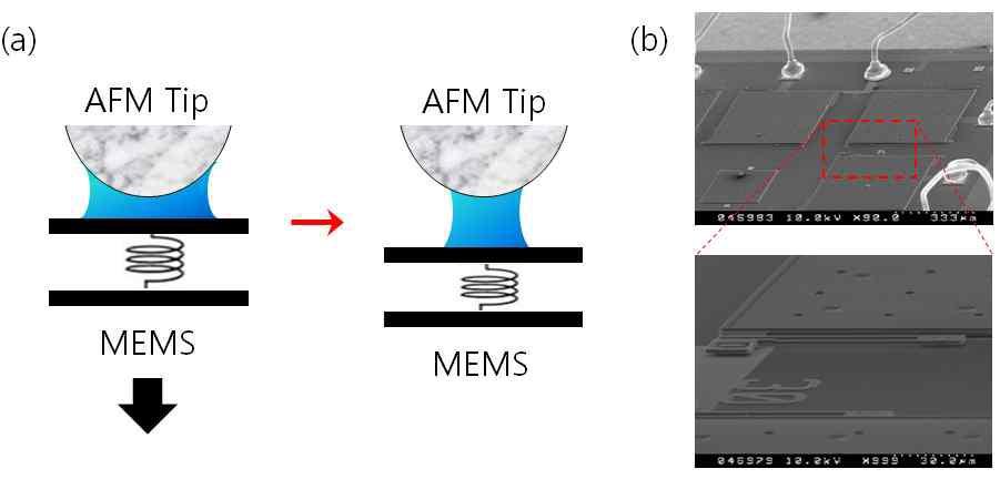 (a) AFM-MEMS 시스템을 이용한 나노물의 구조변화에 대한 비평형 상태 연구 (b) MEMS 장치 SEM 촬영 이미지