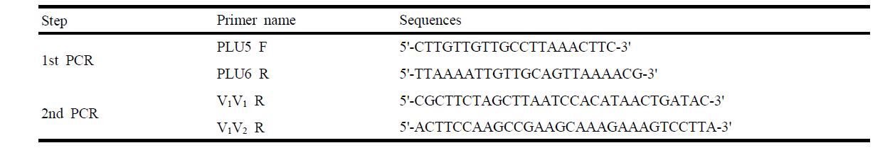 Oligonucleotide primers for nested PCR