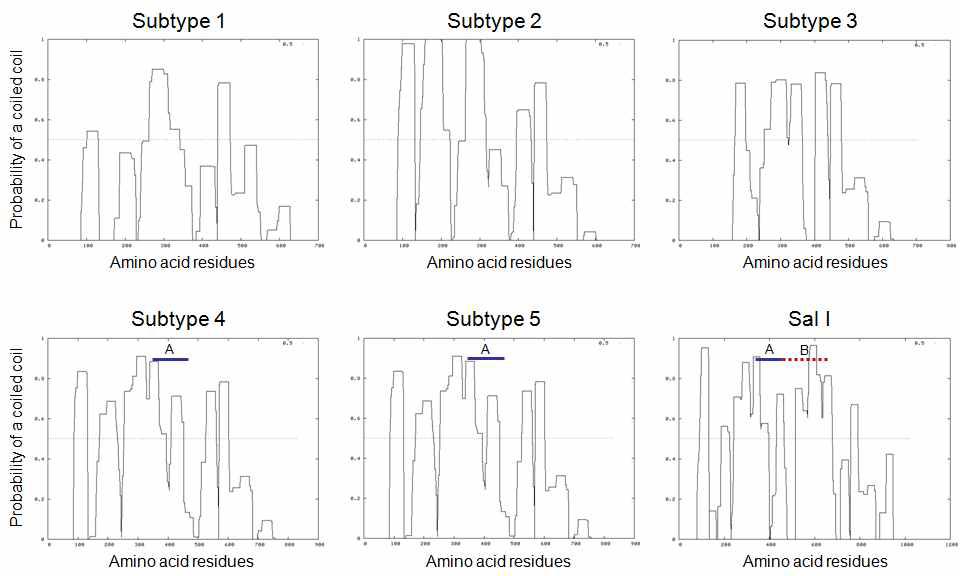 Coiled-coil 구조 분석. The five subtypes of PvMSP-3β sequences of Korean P. vivax showed a high probability of forming coiled-coils. The portions corresponding to insert A and insert B are marked with the blue or dotted red lines, respectively.