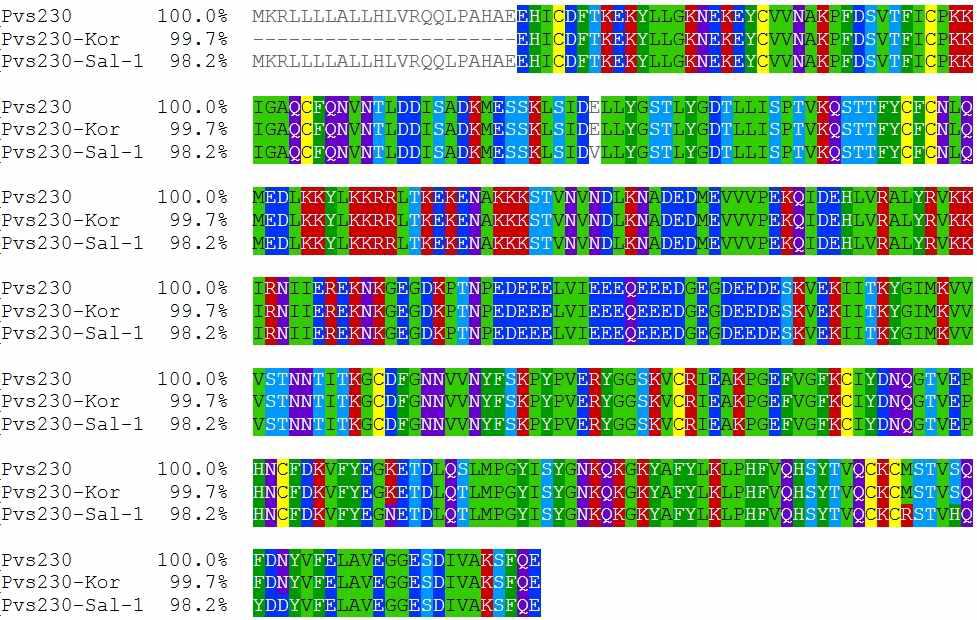 Multiple sequence alignment of Pvs230 and other Pvs230 sequences from GenBank. Amino acid alignment was performed using Clustal W. P. vivax Sal-1 (Accession No. XM_001613322), P. vivax from Korea isolate (Accession No. ADD39016).