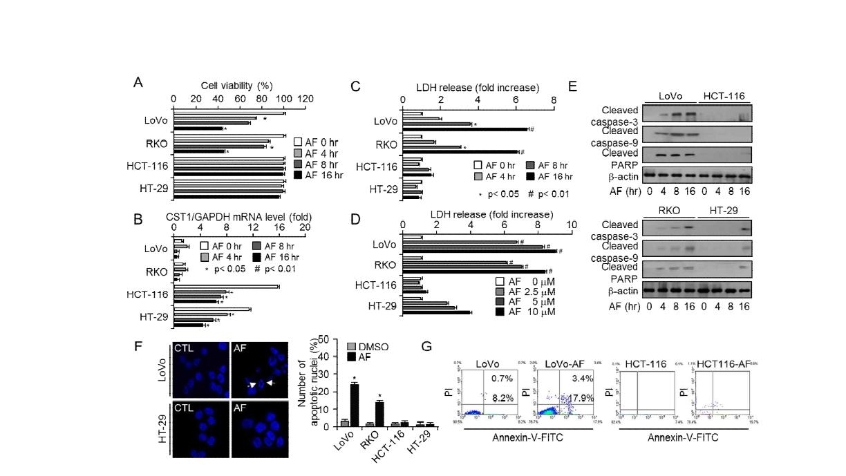 대장암 세포주들에서 CST1 발현에 따른 auranofin 유도의 세포 사멸 수준 분석
