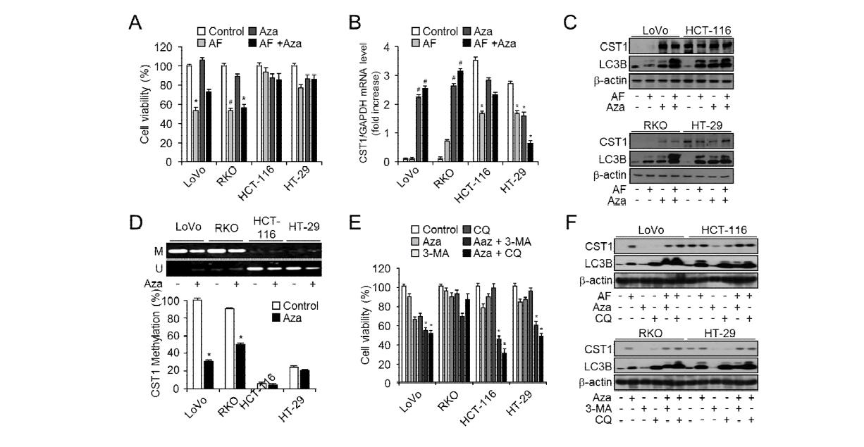후성 유전 변화에 의한 CST1 발현과 오토페이지 변화에 따른 auranofin 유도의 세포 사멸 분석