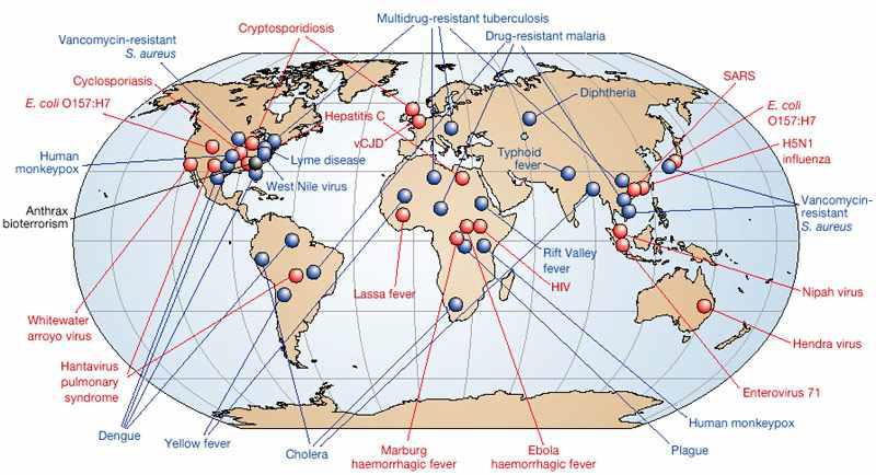 WHO 통계의 의한 전세계적으로 나타나는 신 종 및 변종 세균 및 바이러스에 의한 감염성 질환의 발생 현황. Nature, 430,292-296 (2004년 7월)