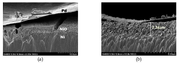 투과 테스트 이후의 Pd/NiO/Ni/NiO/Pd 복합막 FE-SEM 이미지
