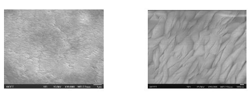 Pd-BaZr0.85Y0.15O3-δ 증착층과 YSZ 다공성 지지체의 TEM 이미지