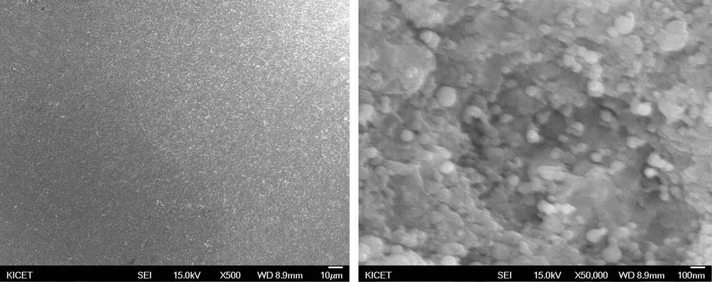 AD공정 후 코팅층 표면의 SEM 사진