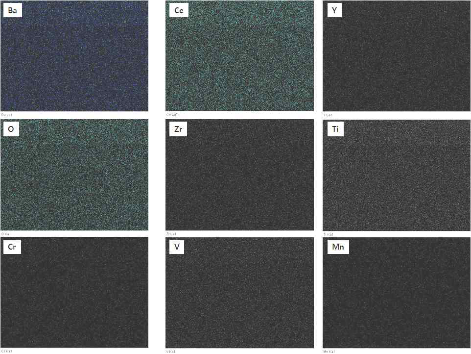 분리막 단층(cross section)에 대한 원소분석(Elemental mapping) 결과