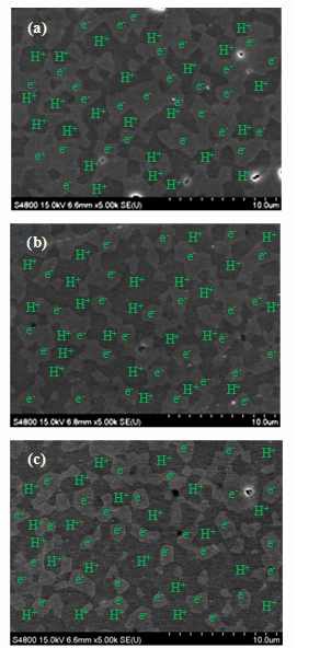 연마 및 thermal etching된 SCY-YDC 복합체 멤브레인(1470℃ 소결)의 SEM 미세구조