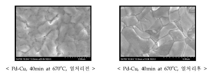 열처리에 따른 Pd-Cu 코팅 면 변화