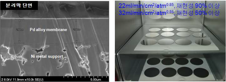 분리막 단면 FE-SEM 사진(좌)/제조된 분리막(우)