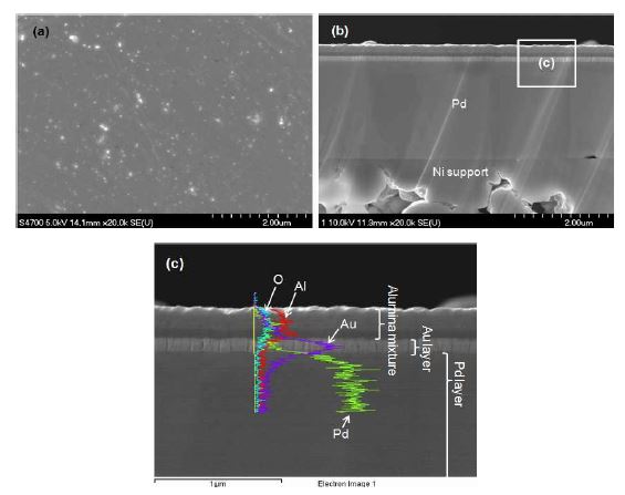 Pd-Au계 분리막 표면 FE-SEM (a), 단면 FE-SEM 그리고 (b) 단면의 line-EDX 사진(c)