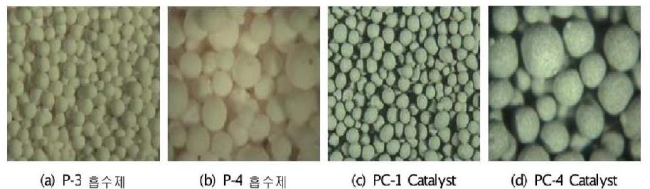 CO2 흡수제(a, b) 및 촉매(c, d) 형상