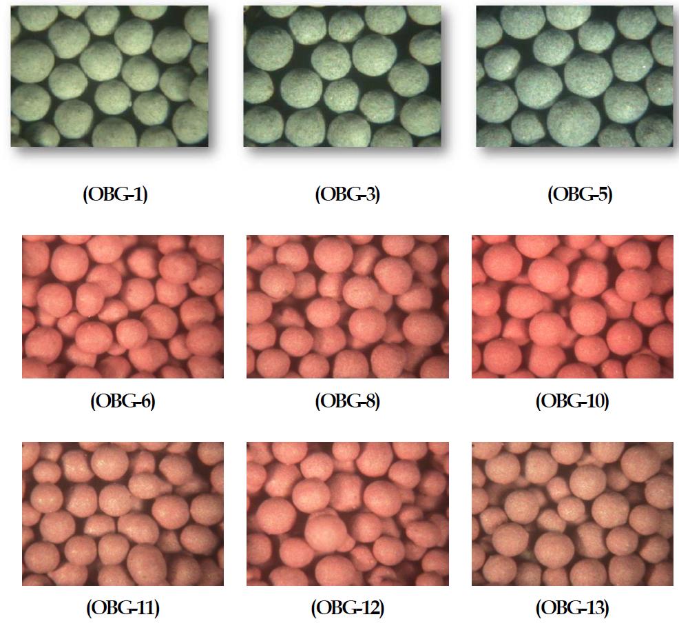 흡수제/촉매 일체형 입자(OBG) 형상