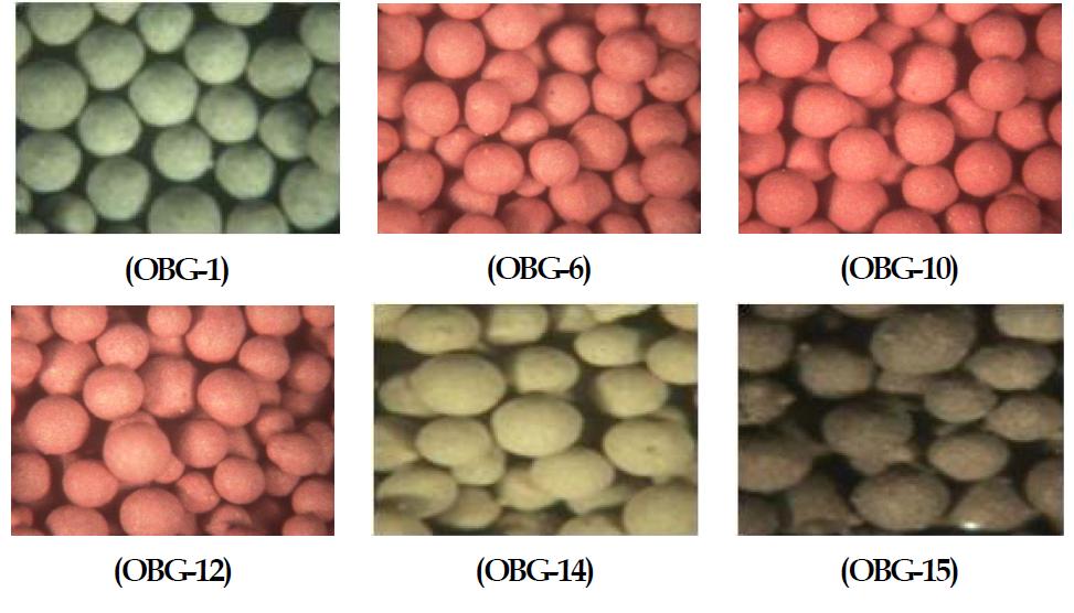 흡수제/촉매 일체형 입자(OBG) 형상