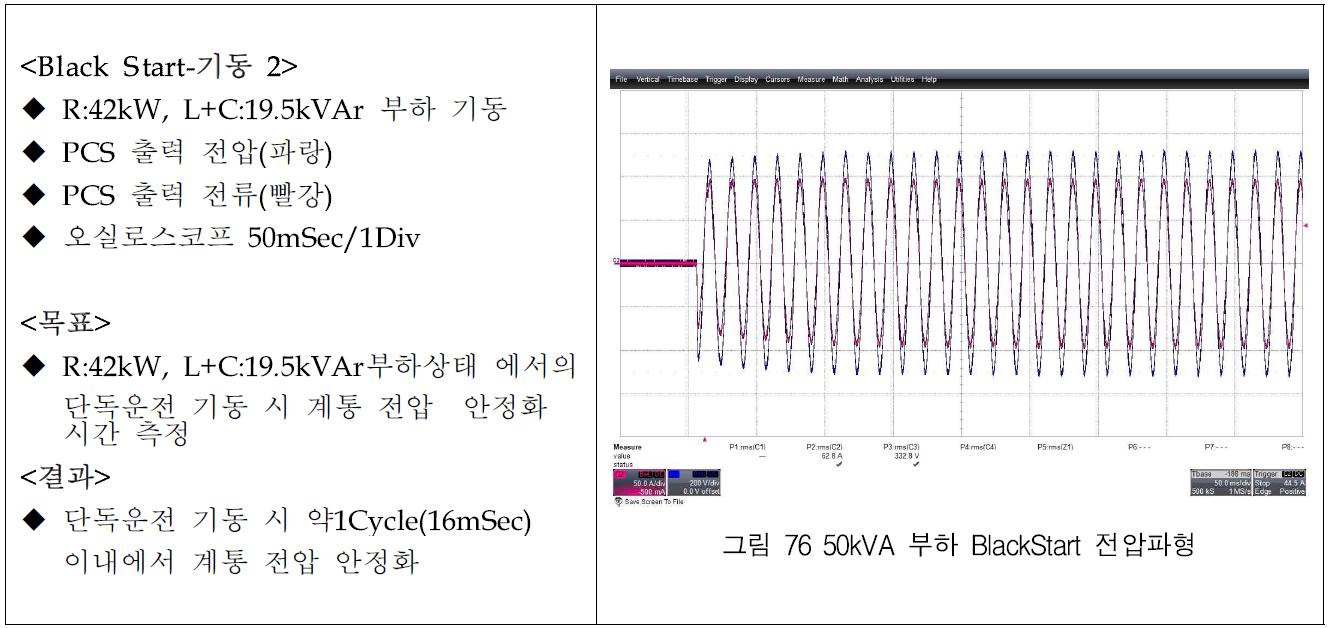 초기 부하량 따른 Black Start기동 시험