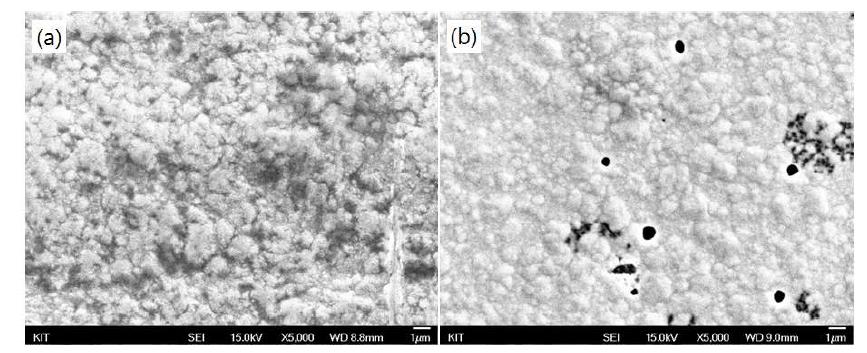 SEM images of the Ni-C composite after corrosion (a) Ni-13.0 at.% C, (b) Ni-26.2 at.% C