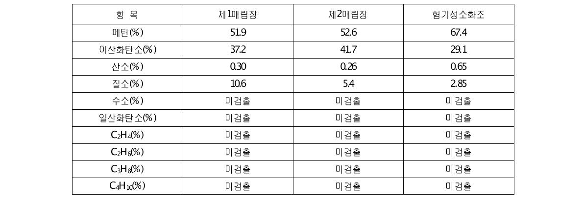 바이오가스 GC-TCD 분석결과