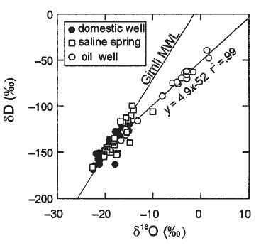 Williston basin 지하수의 산소/수소 동위원소 분석 결과