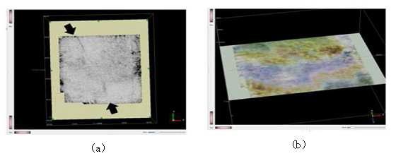 Result of seismic data analysis, (a) similarity attribute slice at 1,850 ms, (b) specific frequency attribute overlaid with 5, 20 and 40 Hz components.