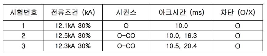 T30 차단성능 시험 결과