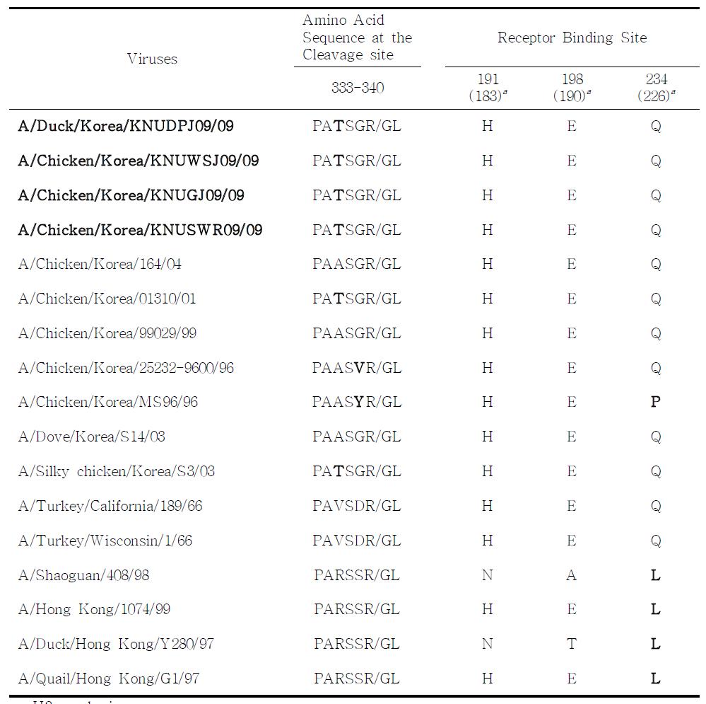 Amino acid sequence at the cleavage site and receptor binding site of HA protein