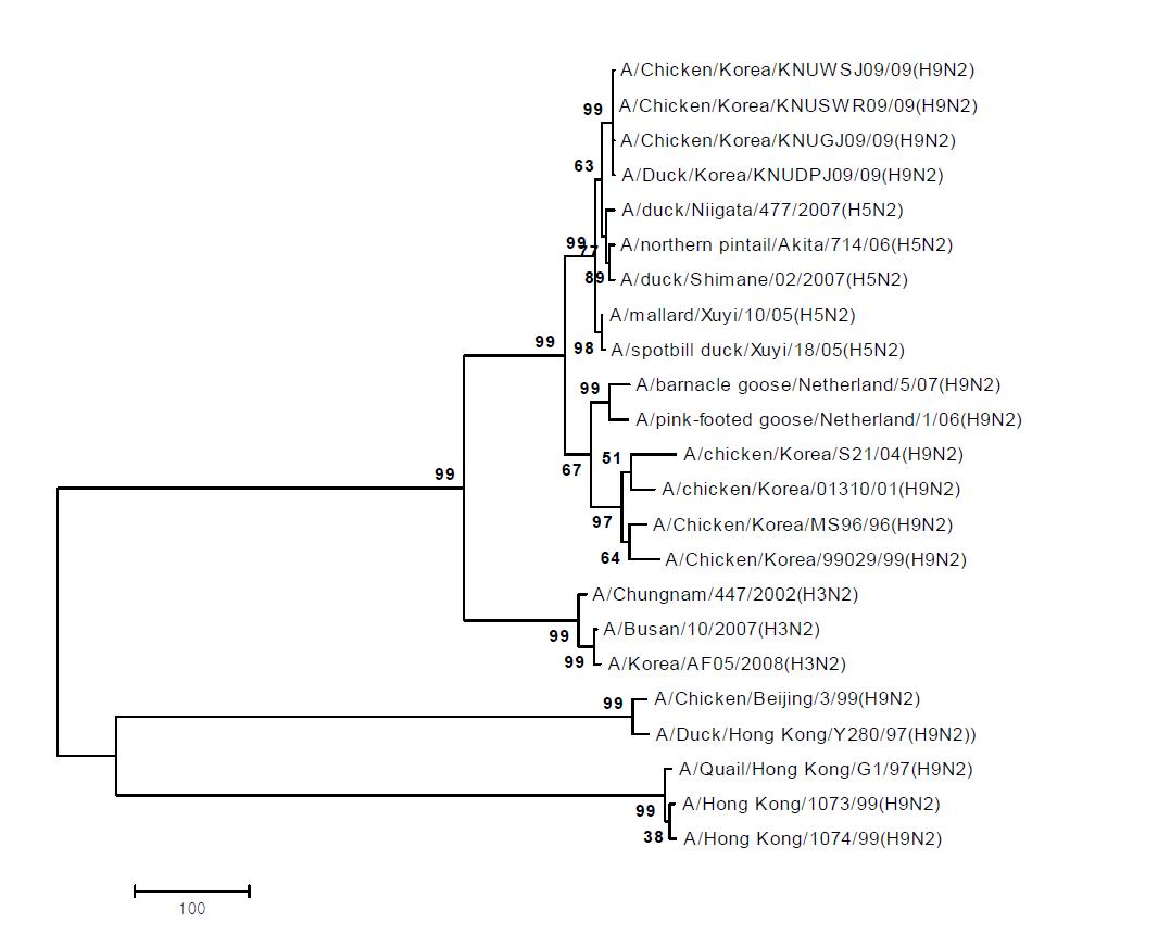 Phylogenetic tree for the N2 NA genes of influenza A viruses