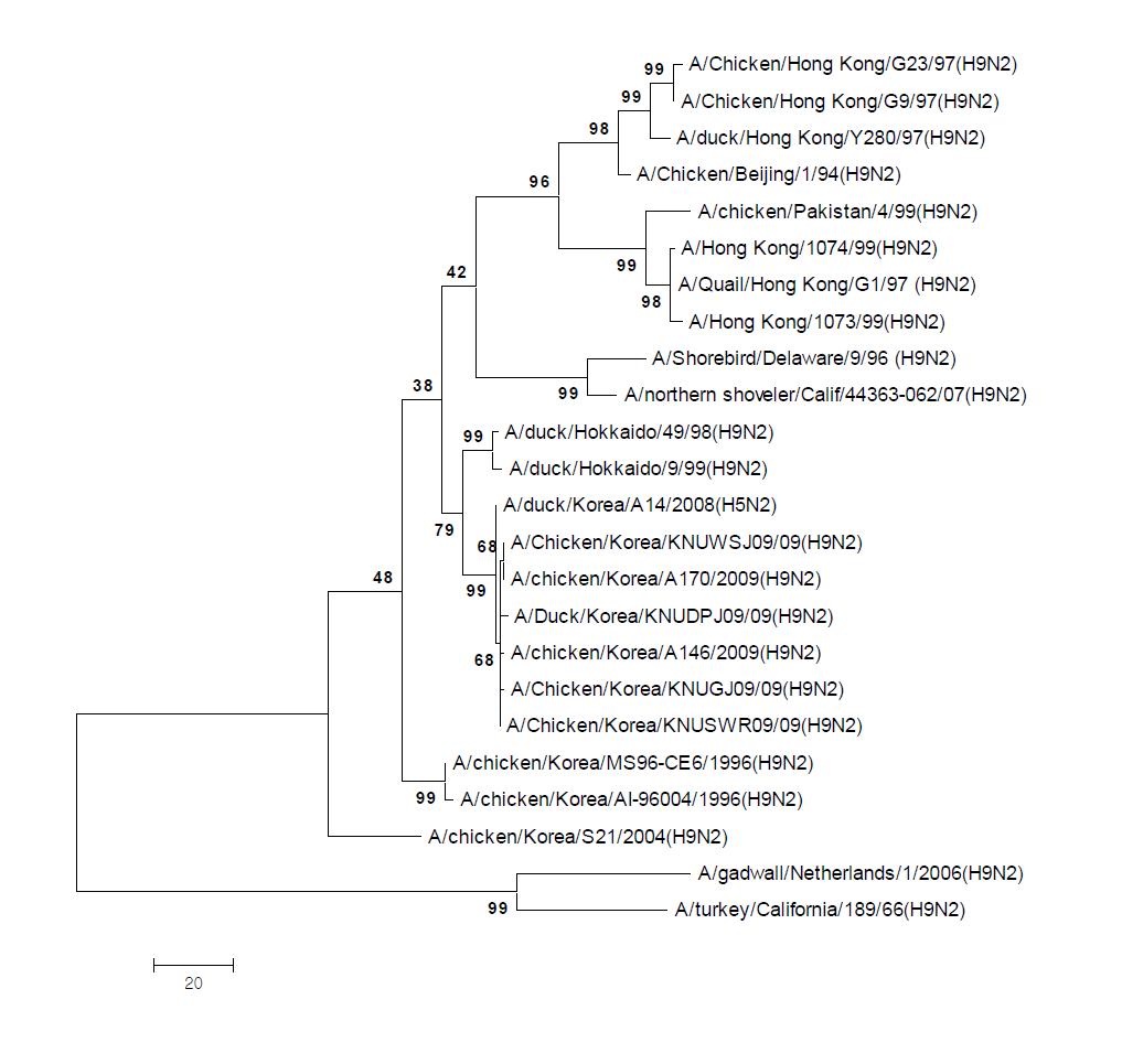 Phylogenetic tree for the NS genes of influenza A viruses