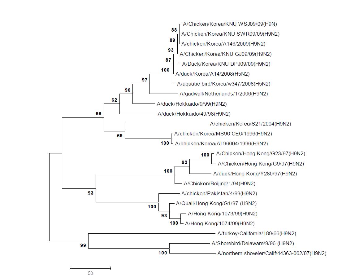 Phylogenetic tree for the PA genes of influenza A viruses
