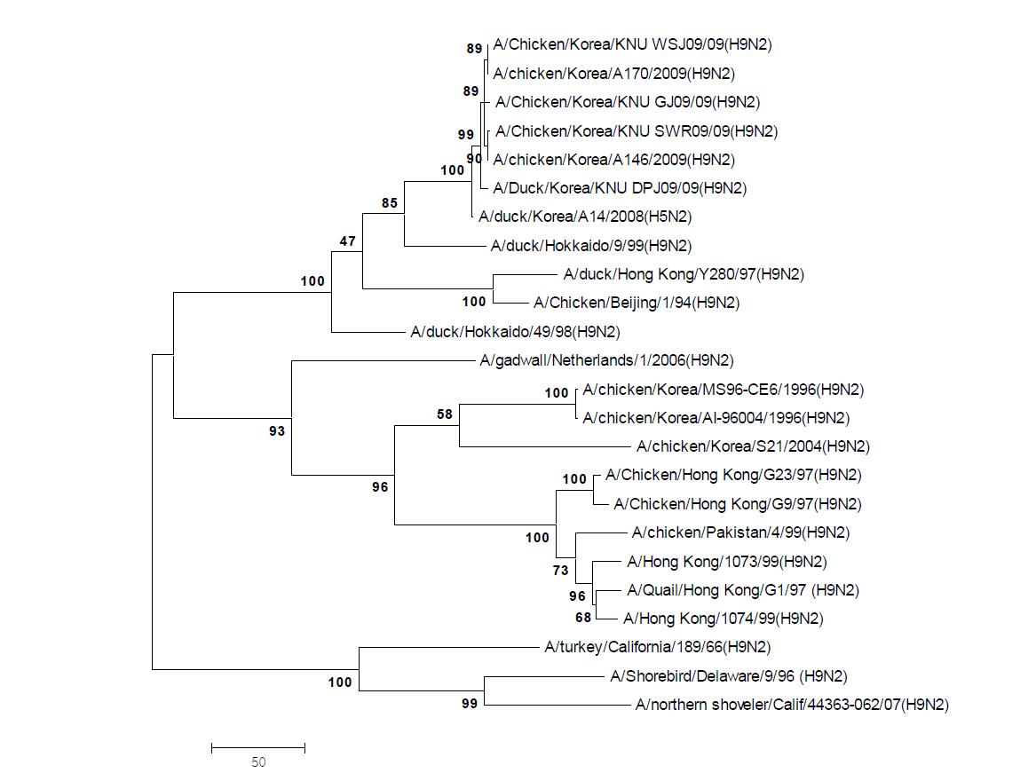 Phylogenetic tree for the PB2 genes of influenza A viruses