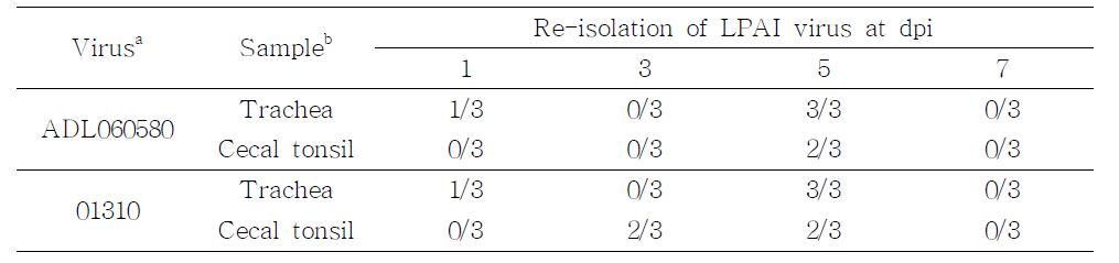 Comparison of re-isolation rate in the trachea and cecal tonsil of SPF chickens inoculated with either ADL0580 or 01310 LPAI virus