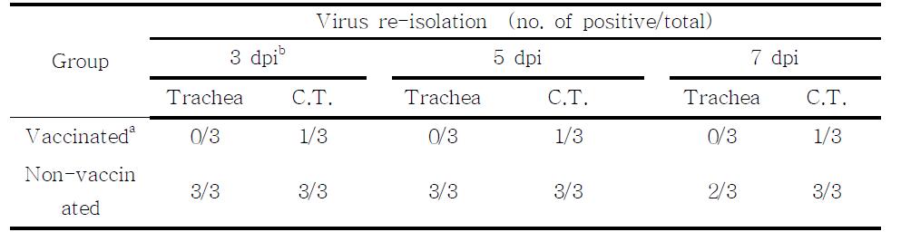 Re-isolation of ADL060580 for SPF chickens vaccinated with 01310 strain of commercial AI vaccine