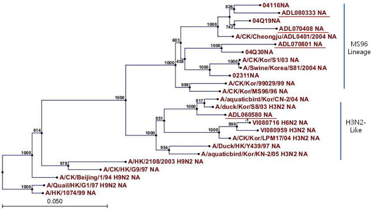 Phylogenetic tree for the N2 NA genes of influenza A viruses