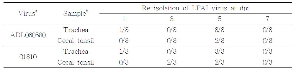 Comparison of re-isolation rate in the trachea and cecal tonsil of SPF chickens inoculated with either ADL0580 or 01310 LPAI virus