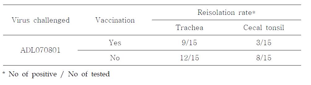 Re-isolation of ADL060580 for SPF chickens vaccinated with 01310 strain of commercial AI vaccine