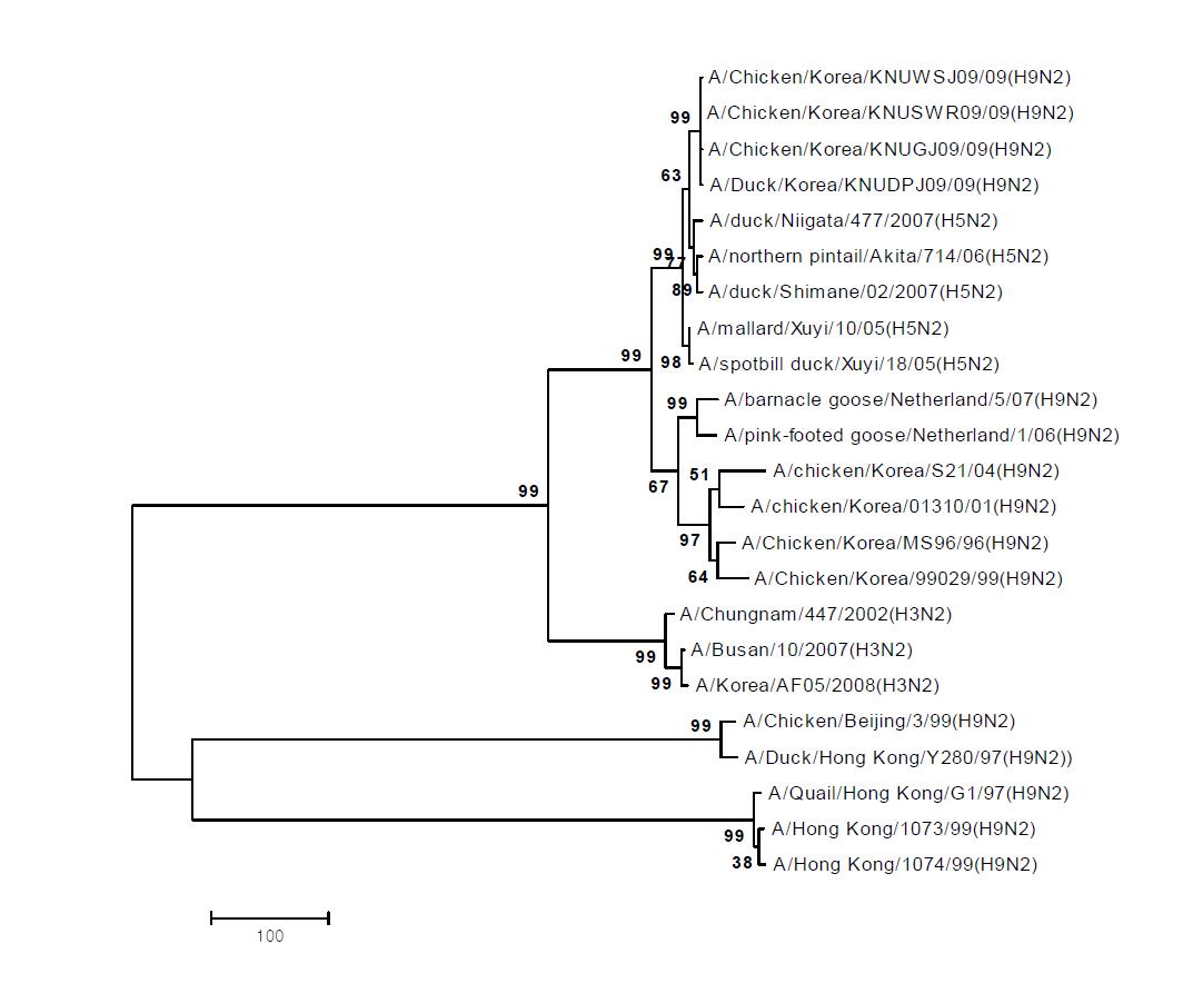 Phylogenetic tree for the N2 NA genes of influenza A viruses