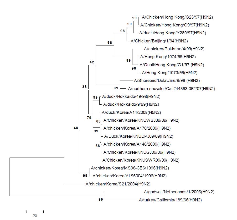 Phylogenetic tree for the NS genes of influenza A viruses