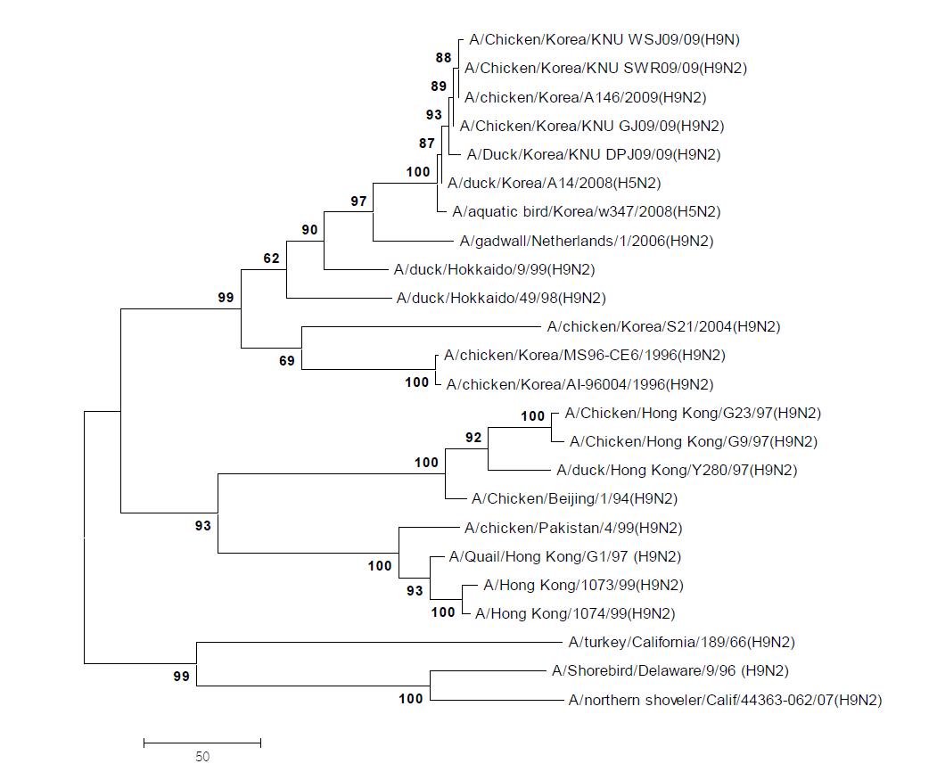 Phylogenetic tree for the PA genes of influenza A viruses